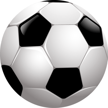 阿米卡莱斯泰塞尔