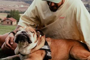 汉密尔顿告别爱犬：Roscoe在我怀中离开，安乐死的决定很痛苦