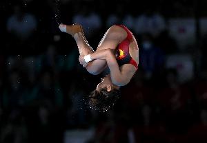 冲金！全运会跳水项目明天展开争夺，全红婵可能代表广东队出战