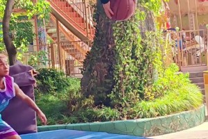 露的这一手如何？