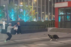 我jiǎo着我可能、大概、也许，备不住应该是玩不过它...