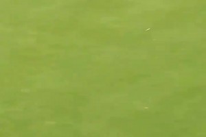 瓜迪奥拉打高尔夫一杆进洞，现场找录像：录了没，我要发推特！